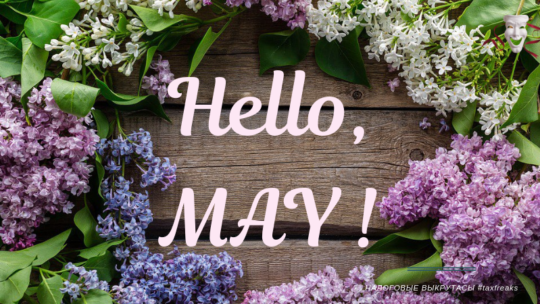  Hello, May ! Привычные заботы и немного отчетов